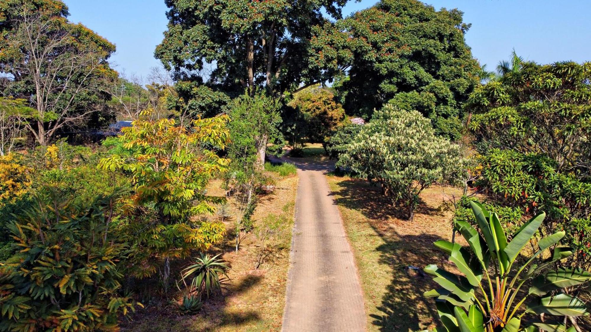 Ilanda Guest House White River Ngoại thất bức ảnh