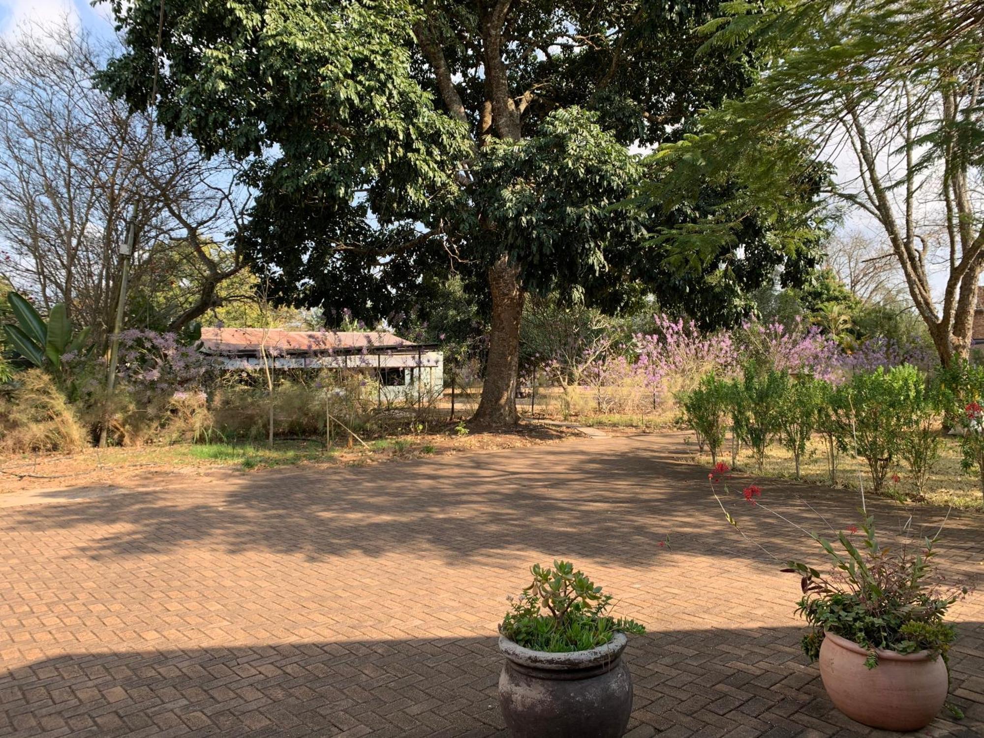 Ilanda Guest House White River Ngoại thất bức ảnh